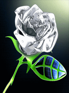 flowers 35.gif